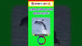 MOST IMPORTANT QUESTIONS&nbsp;#AND&nbsp;ANSWERS UPSC EXAM NDA&nbsp;#shorts&nbsp;#AND&nbsp;#gkquiz&nbsp;#question&nbsp;#gk&nbsp;#upsc&nbsp;#shorts