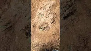 We have discovered a strange treasure buried beneath the rubble.!  #treasure #discovery #trending