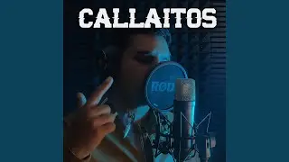 Callaitos