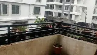 Nisarga Cyclone coming near... Mumbai.  Effect in pune