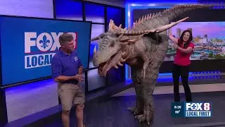 Dragons and other Mythical Creatures at Audubon Zoo