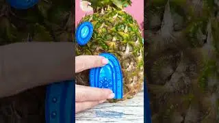 Pineapple House with your own Hands🍍 Sponge Bob and Patrick🦀
