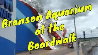 Branson's Aquarium at the Boardwalk | Sir Willow's Park Tales