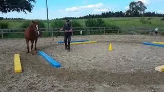 Equikinetic