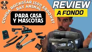 Conga Rockstar ErgoWet 1500 Ray Animal🐶🔥PRUEBA Y OPINIÓN