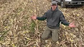 Live in Field YETTER  Devastator Action