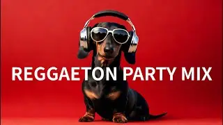 Reggaeton Party Mix テンションが上がるPLAYLIST