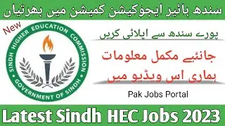 How To Apply Hec Jobs 2023 | Higher Education Commission Jobs 2023 | govt jobs 2023 @Pak Jobs Portal