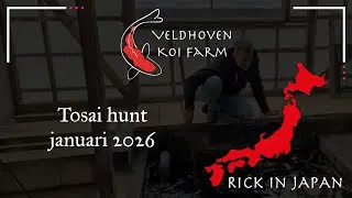 🎥 Tosai hunt in Japan (Deel 2)