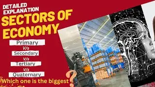 Understanding the Sectors of the Economy: Primary, Secondary, Tertiary, and Quaternary