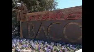 B.S.O Furius Baco