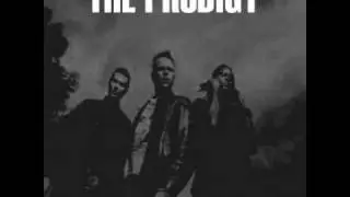 The prodigy restart (mixed by Promi) - Track 09