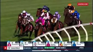 BELLATRIX STAR | SCHILLACI STAKES GROUP 2 2024