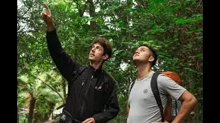 Study Forestry | University of Canterbury
