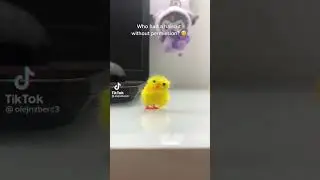 happy early easter! memes part 6