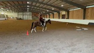 CWDA Sizzlin Summer INT4-A Entry #5523