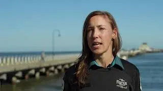 St Kilda Pier redevelopment: little penguins