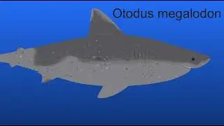 Fish eat fish. Sticknodes animation. 
