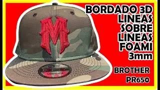 Bordado 3d complejo paso a paso - embroidery puff complex step by step - BROTHER PR650