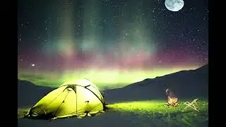 Camping in the Wilderness | Wolves Howling | Cricket Sounds | Crackling Campfire | 8 Hour