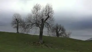 Mayburgh henge
