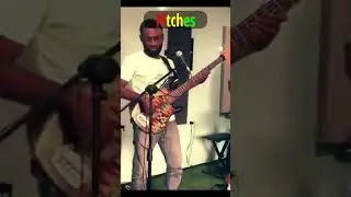 Pitches Trumpet Solo will warm your heart #shorts