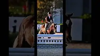 @suggpony on insta! requested by @CharlotteLaFrance  🤍🤍 one year apart #goviral #fyp #equestrian