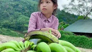 Tieu and Bena cut the main banana bunch to sell and had many customers. #viral 