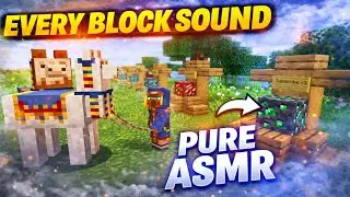 Minecraft ASMR &ndash; Every Block Sound (No Music, No Talking)