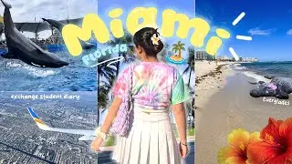 Miami VLOG 🌸🏝️ Seaquarium, Miami Beach, Everglades