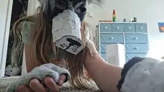Doggy Dance Video to get the party started by Pink