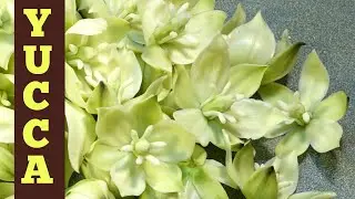 Yucca Flower Recipes - Fast and Easy Stir Fry