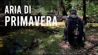 Aria di Primavera - Fotografia naturalistica