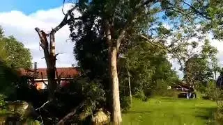 How to not cut trees 😳😳