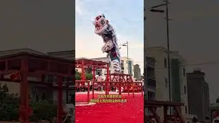 The wonderful lion dance performance by Maoming Hong Quan Research Association#Waking