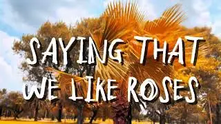 Narboth Mathole - Roses (Official Lyric Video)