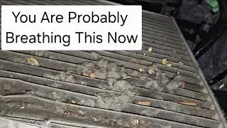 2019 Ford Fusion And Others - Front Brakes - Cabin Air Filter, Wiper Blades Autozone