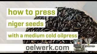 Niger seed oil pressing with popular cold oilpress (2019 model) - made in germany