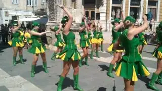 Pulske mažoretkinje