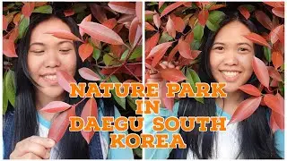 Daegu Nature Park South Korea