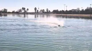 Hansen Dam FE Ramsey FE Mono! 11/29/25