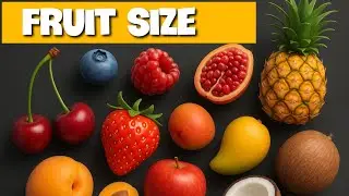 Fruit size comparison | Smaller to Largest size | Chasu Animation