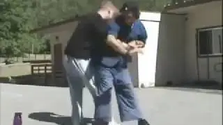 Sun Lu Tang Bagua Circle Applications