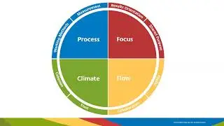Maximise Team Potential with Insights Discovery - Exploring the Team Effectiveness Model