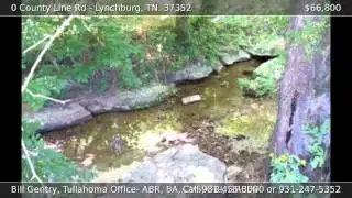 0 County Line Rd Lynchburg TN 37352