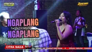 NGAPLANG NGAPLANG // CITRA NADA LIVE DESA DINUK // KEC.KRAMAT - KAB.TEGAL