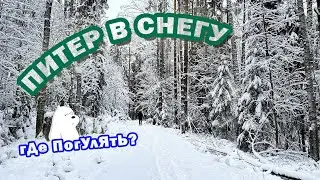 VLOG | Питер в снегу. Изумрудное озеро. Странная девочка. Про качество кафе