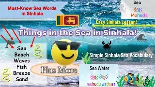 Do You Know These Sinhala Sea Words? 😮