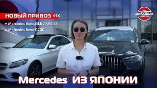 Пригнали Mercedes Benz AMG 53 из Кореи и Mercedes Benz C200 из Японии!