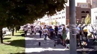 See spot walk